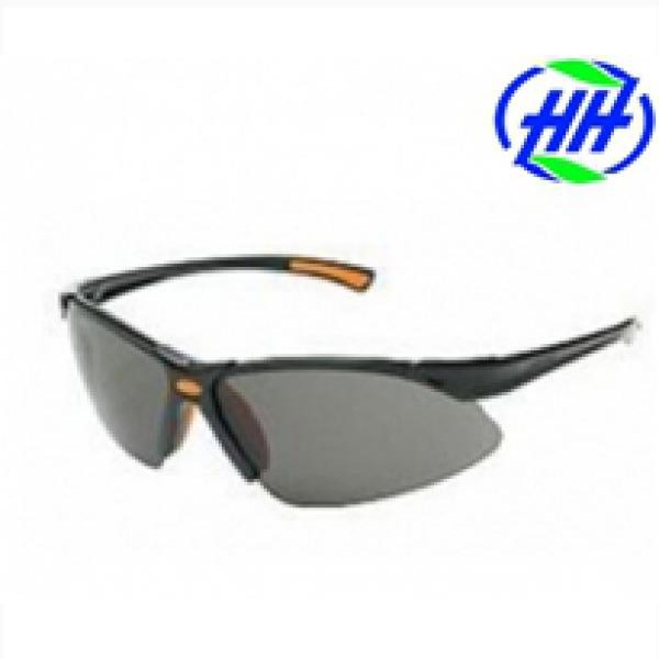 Kính BHLĐ King 313B