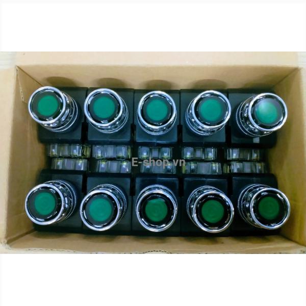 Nút nhấn có đèn CR-254A0 _ Hanyoung Nux